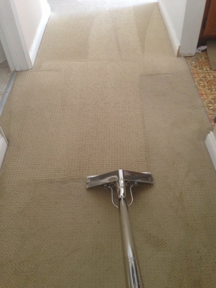 Condo, Apartment and Home Carpet Cleaning Service Corona Carpet Cleaning