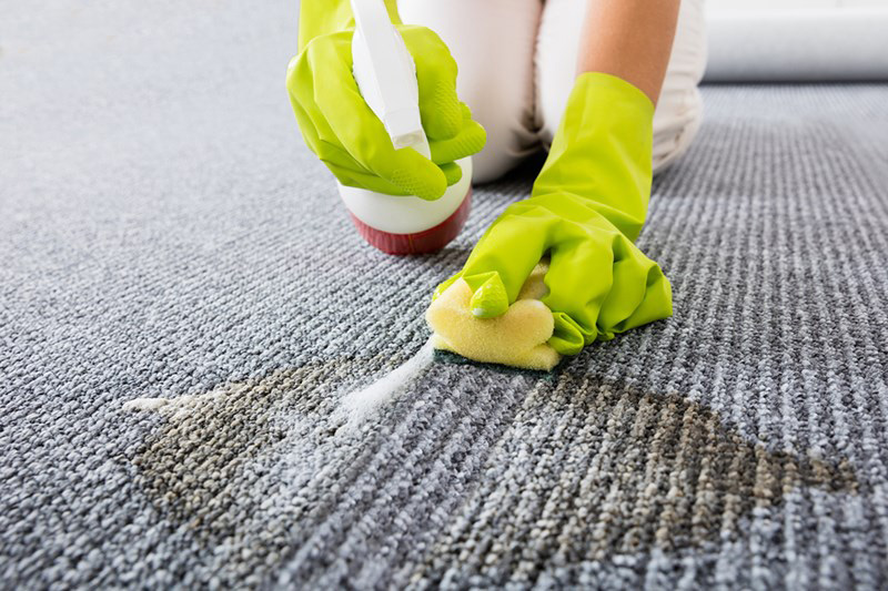 Condominium Upholstery Carpet Cleaning Service Corona Tile and Grout Cleaners