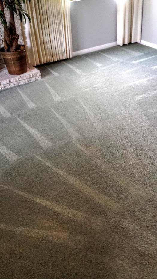 Getting Rid of Stubborn Stains and of Reappearing Carpet Spots Corona