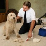 Thorough Carpet Cleaning and Maintenance Is a Necessary Task in Corona