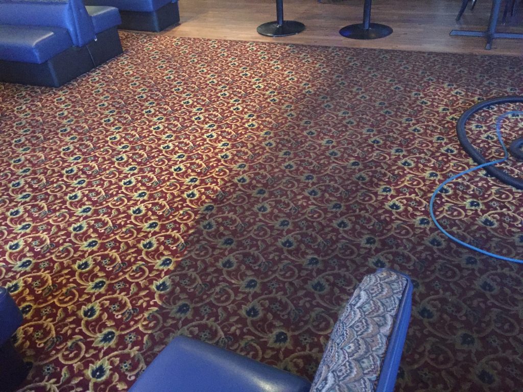 Low Cost Professional Carpet Cleaning Service Corona Carpet Cleaners Near Me